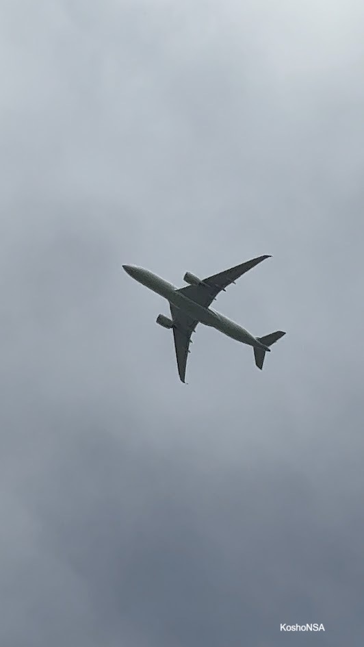 Spotting Image