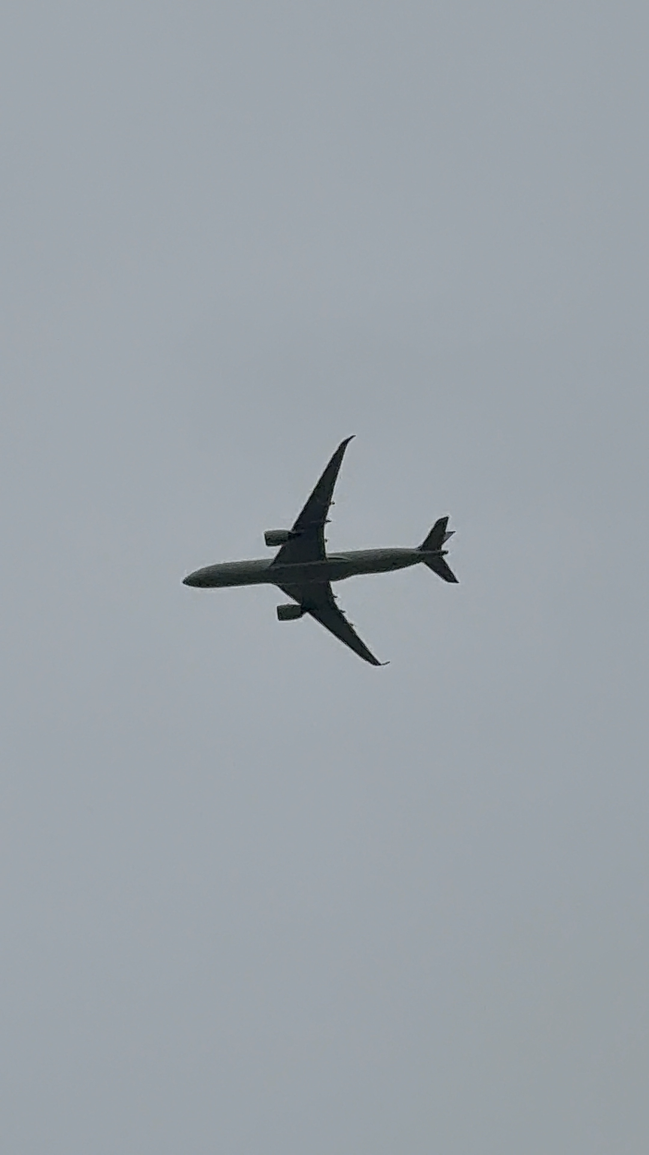 Spotting Image