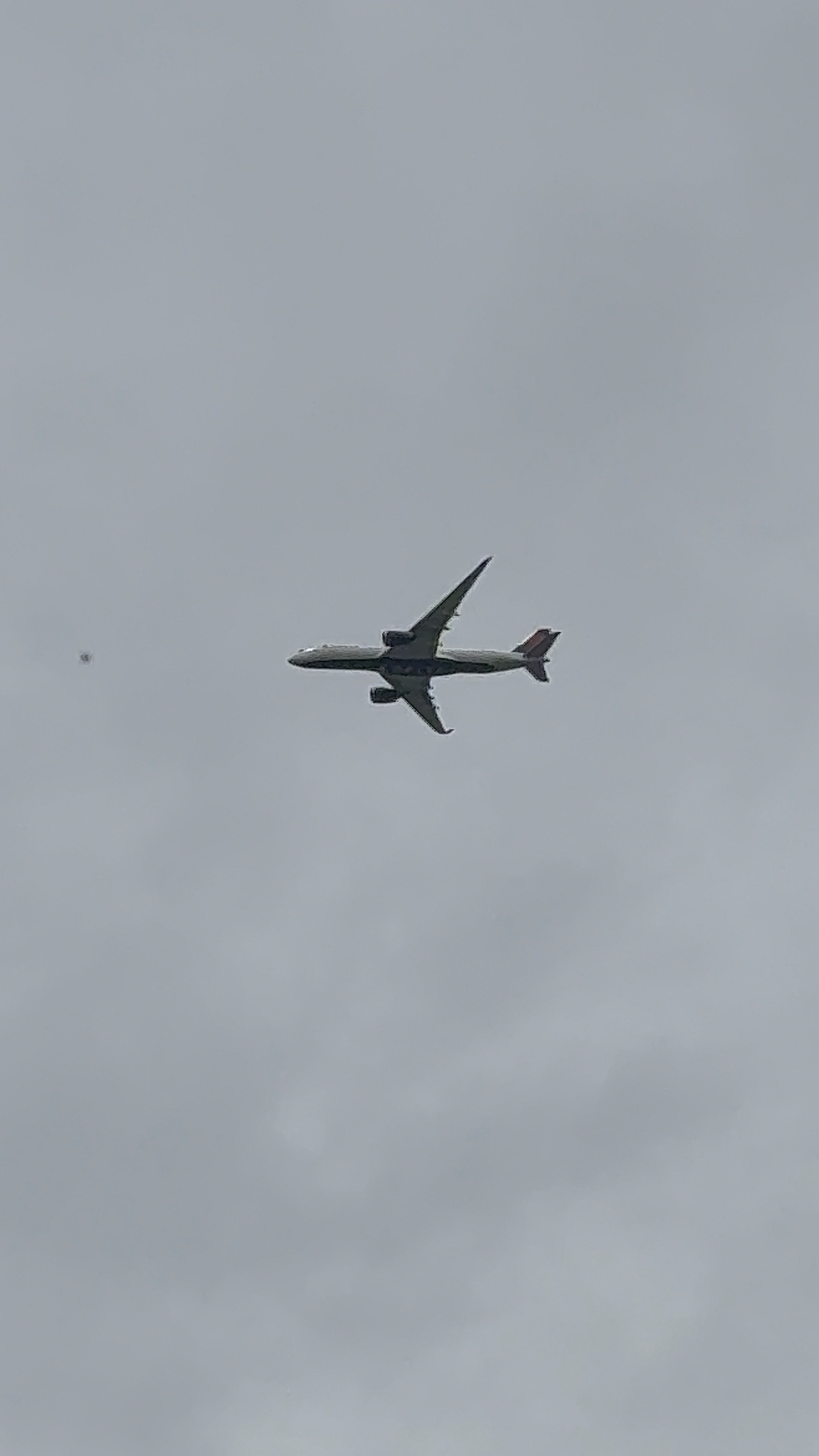Spotting Image