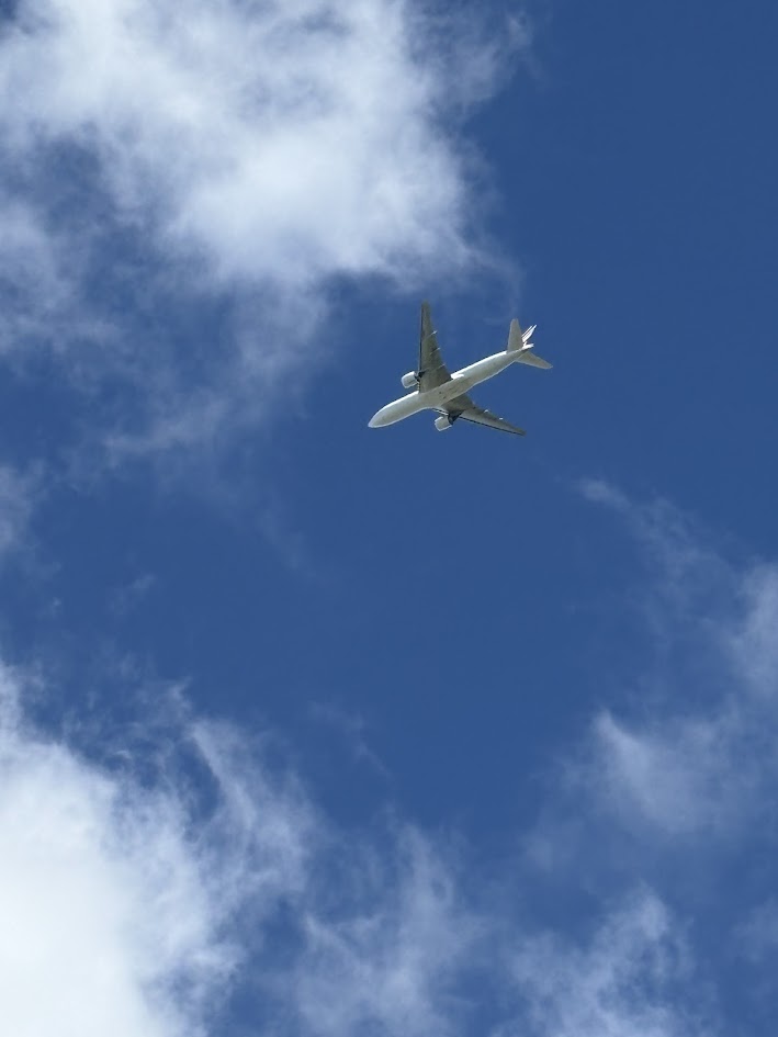 Spotting Image