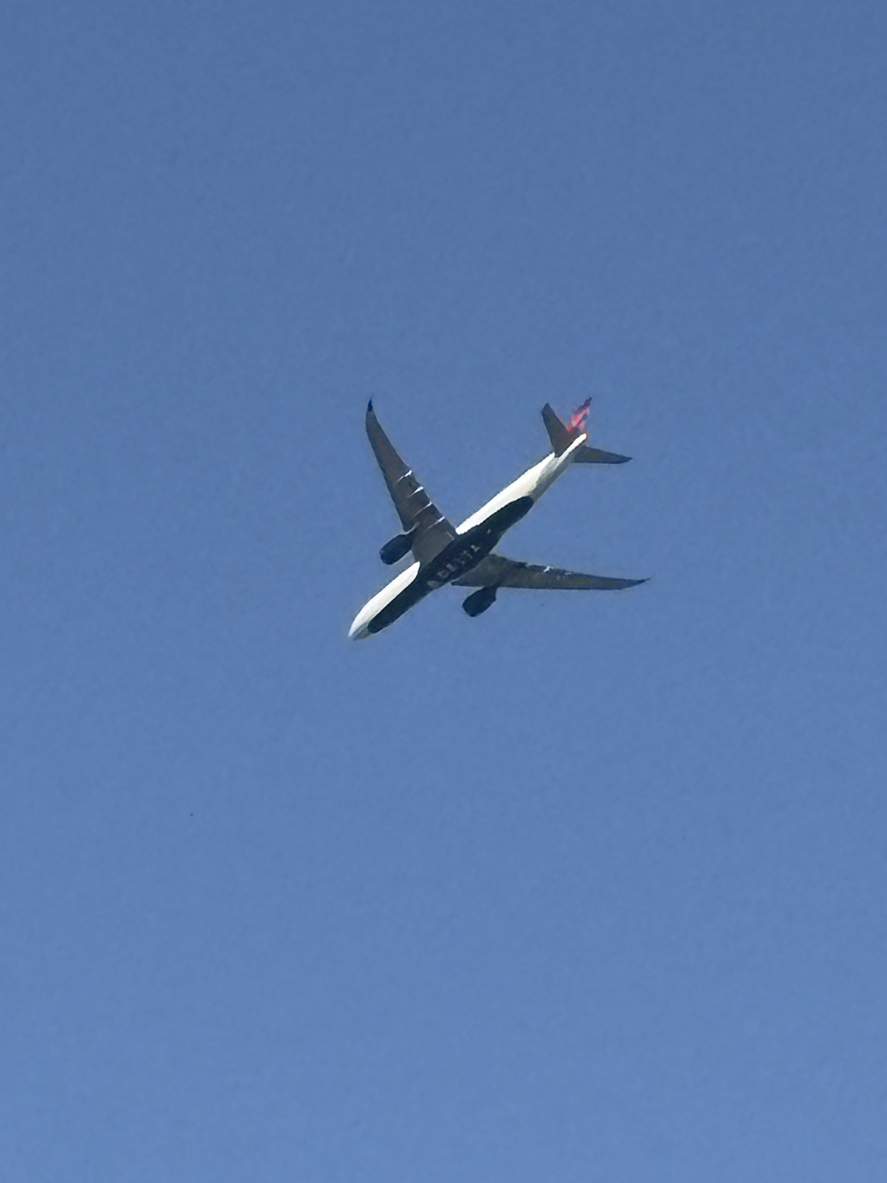 Spotting Image